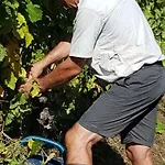 Logis De Bois Roche Hébergement de vacances Saint-Bonnet-sur-Gironde