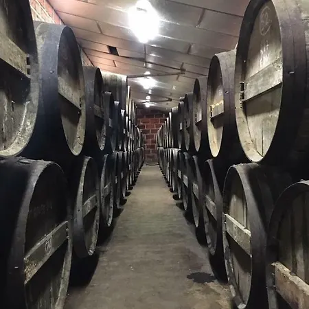 Logis De Bois Roche Hébergement de vacances