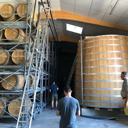 Hébergement de vacances Logis De Bois Roche Saint-Bonnet-sur-Gironde