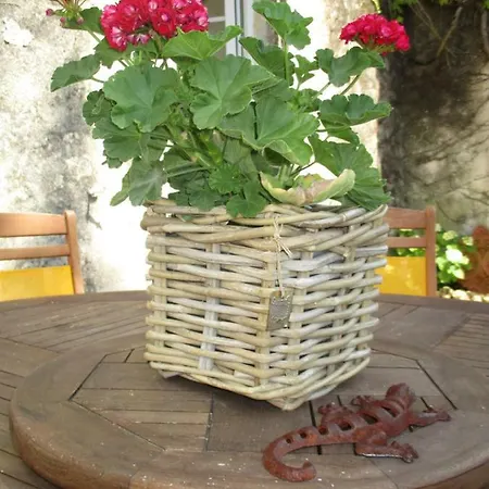 بيت للعطل Logis De Bois Roche Saint-Bonnet-sur-Gironde