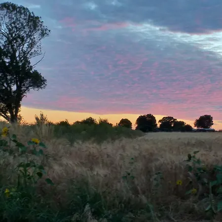 Hébergement de vacances Logis De Bois Roche Saint-Bonnet-sur-Gironde