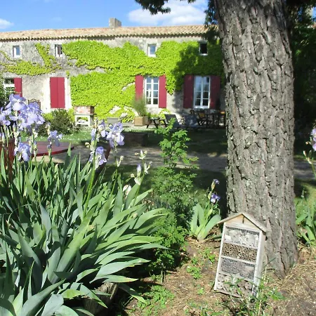 Logis De Bois Roche * Saint-Bonnet-sur-Gironde