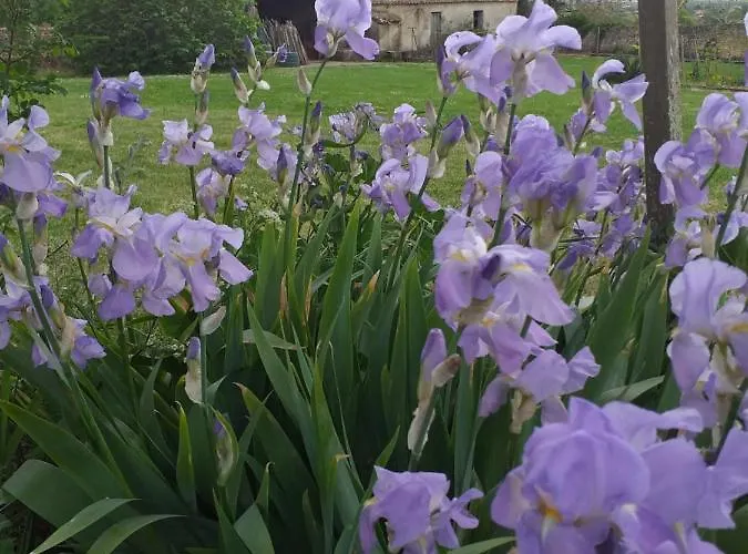 Logis De Bois Roche Holiday home *