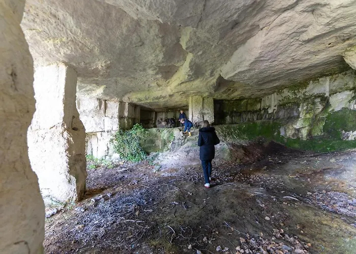 Holiday home Logis De Bois Roche *