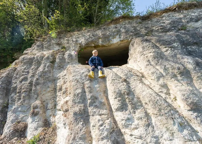 Logis De Bois Roche Holiday home *