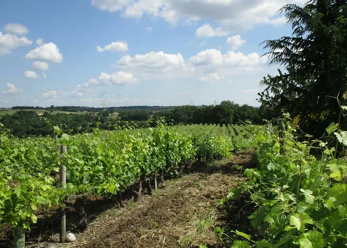 Logis De Bois Roche Holiday home