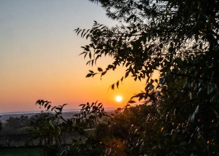 Logis De Bois Roche Holiday home Saint-Bonnet-sur-Gironde