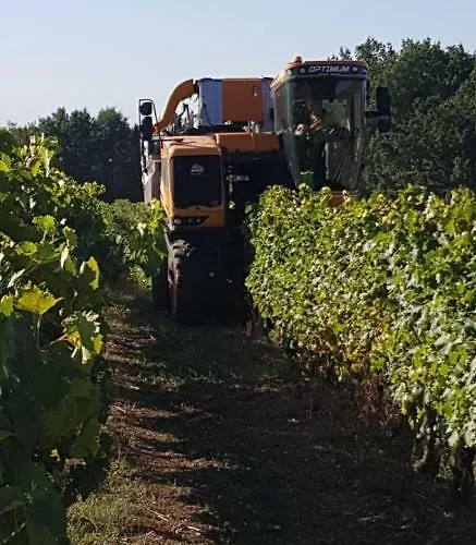 Logis De Bois Roche *