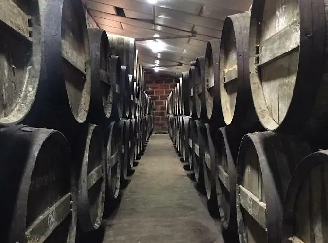 Logis De Bois Roche Holiday home