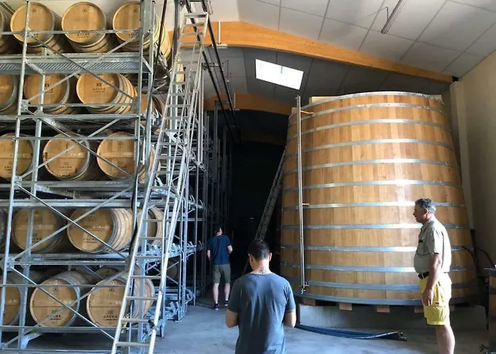 Holiday home Logis De Bois Roche Saint-Bonnet-sur-Gironde