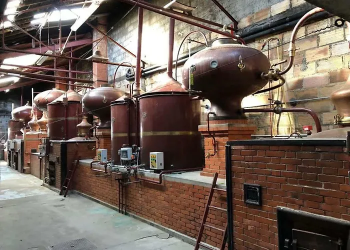 Logis De Bois Roche *