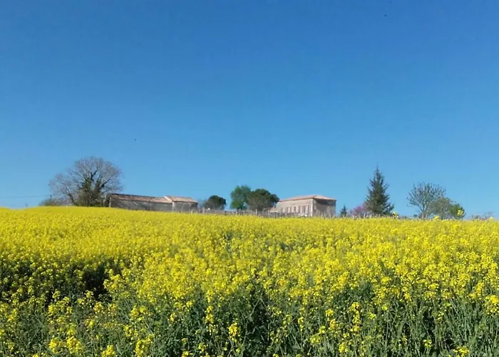Logis De Bois Roche *