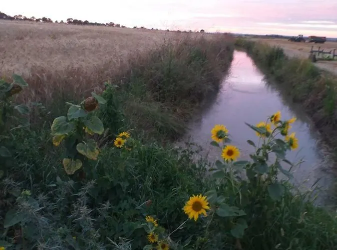 Holiday home Logis De Bois Roche