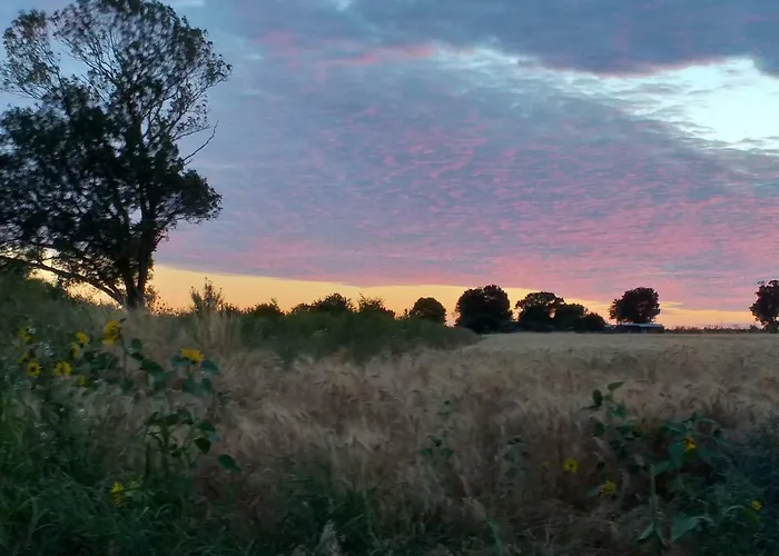 Holiday home Logis De Bois Roche Saint-Bonnet-sur-Gironde